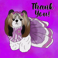 Dog C GIF