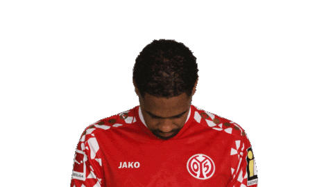 Look Up Mainz 05 Sticker by Bundesliga