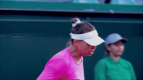 Vera Zvonareva GIF