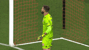 Western Sydney Wanderers GIF by wswanderersfc