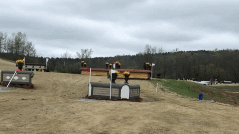 cross country eventing GIF