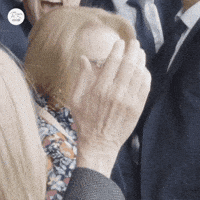 Melbourne Cup Whr GIF by World Horse Racing