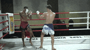 worldlethwei martialarts wlc lethwei headbutts GIF
