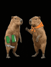 Book Yes GIF