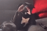 If You Grab Me GIF