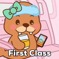 First Class Champagne GIF by FROSTYS