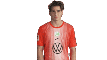 Football Love Sticker by VfL Wolfsburg