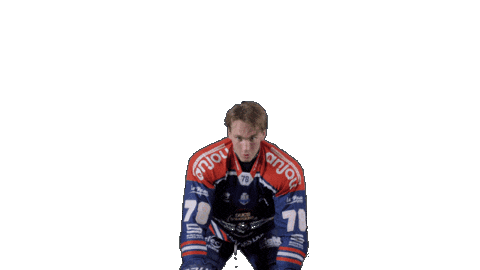 Ducs Dangers Hockey Sticker by Les Ducs d'Angers