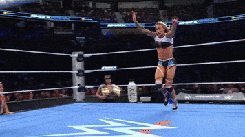 Wwe Wrestling GIF