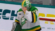 Hockey Champions GIF by London Knights