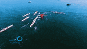 Sport Water GIF by worldrowing