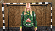 Handball Crowd GIF by Rhein-Neckar Löwen