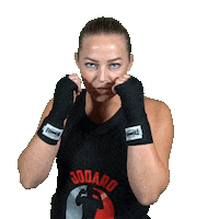 jodarogym kickboksen nieuwegein jodarogym jodaro Sticker