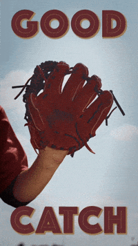 Go Team Wow GIF by Sealed With A GIF