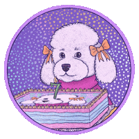 izabellu bday aniversario poodle izabellu Sticker