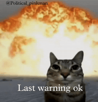 Angry Cat GIF