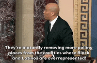 Voting Rights Senate GIF by GIPHY News