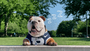 Tired Butler Bulldogs GIF by Butler University