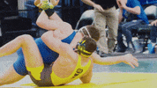 Wrestling Bison GIF by NDSU Athletics