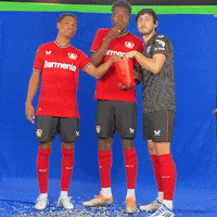 Bayer 04 Popcorn GIF by Bayer 04 Leverkusen