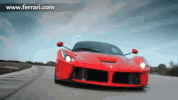 ferrari circuit GIF by Sport Decouverte