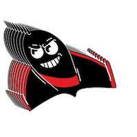 Aussie Rules Football Sticker by Essendon FC