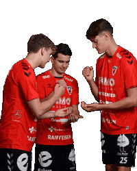 Handball Sticker by HSC Suhr Aarau