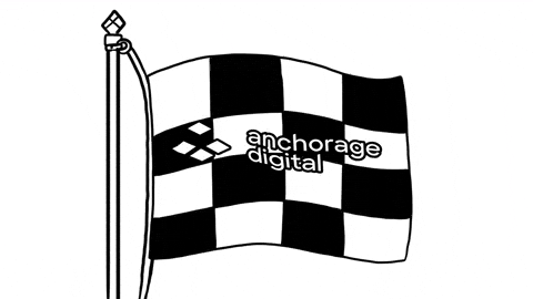 Checkered Flag GIF by CC0 Studios