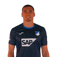 Grischa Prömel Sport Sticker by TSG Hoffenheim