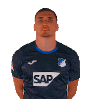 Grischa Prömel Sport Sticker by TSG Hoffenheim