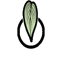 Plantlover Houseplants Sticker by pflanzenkarte