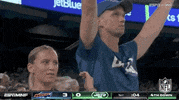 Regular Season Football GIF by NFL