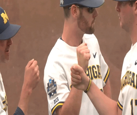michigan baseball fist pound GIF by Michigan Athletics