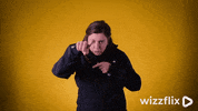 Wizzflix_ wow yellow point good job GIF