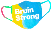 Staysafe Bruins Sticker by UCLA