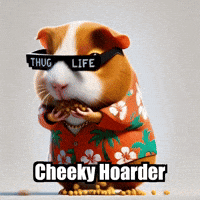Guinea Pig Storage GIF by Guinea Gambino