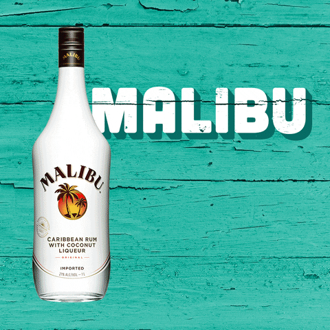 Fun Party GIF by Malibu Rum