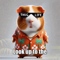 Stars Night GIF by Guinea Gambino