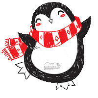 Balderschwang christmas winter freude schnee Sticker