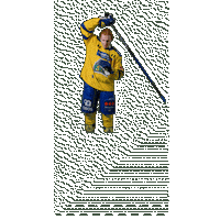 Kolstadstrand Sticker by Storhamar Hockey
