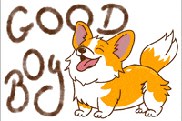Snoopylecorgi happy dog corgi good boy GIF