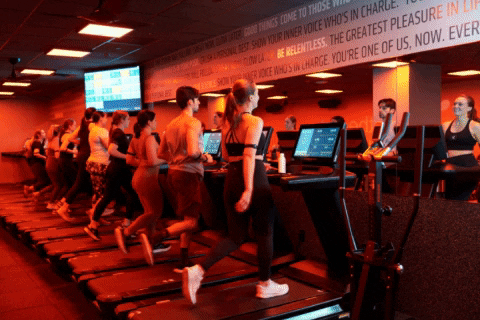 CPineiro giphygifmaker GIF