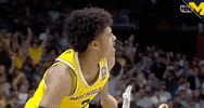 Lets Go Wolverines GIF by Michigan Athletics