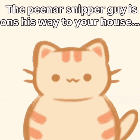 Cin_cook cat orange silly larry GIF