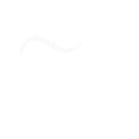 Hair Wow Sticker by Amir B Jahanbin