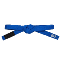 FederationJJ blue martial arts jiujitsu Oss Sticker