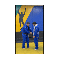 Martial Arts Graduation Sticker by Brazilian Top Team