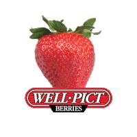 Strawberry Berry Sticker by Well Pict Berries