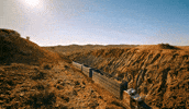 Travis Subaru GIF