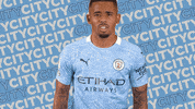 Premier League Football GIF by Manchester City